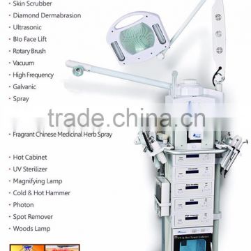 Fade Melasma 19 In 1 Multifunction Facial Beauty Machine Spray Facial Beauty Machine Whitening Skin