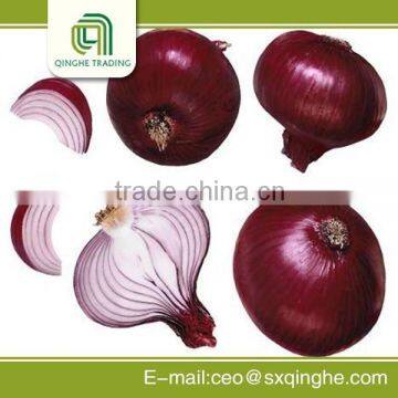 Lowest price fresh red onions