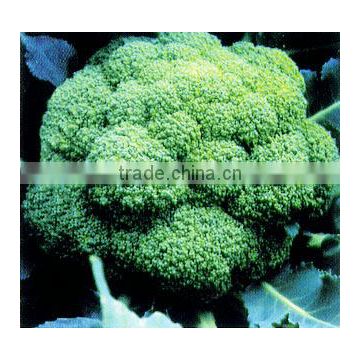 2015 F1 Hybrid Excellent Green Cauliflower Seeds Broccoli Seeds For Growing