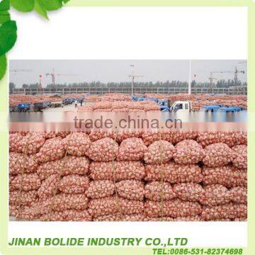 fresh white garlic exporters china