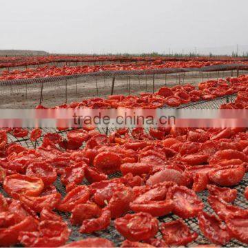 Hot Sun Dried Tomatoes Supplier Prices photo-3