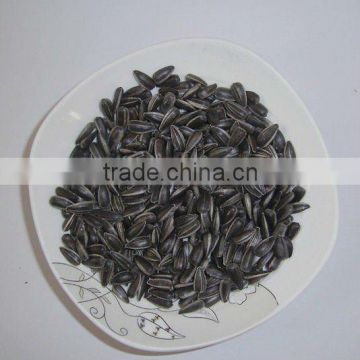 2015 New Crop Oil sunflower seeds