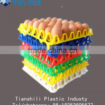 2017 pp egg container plastic egg tray with 30 holes