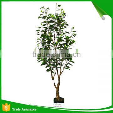 Top quality artificial money tree for decoration