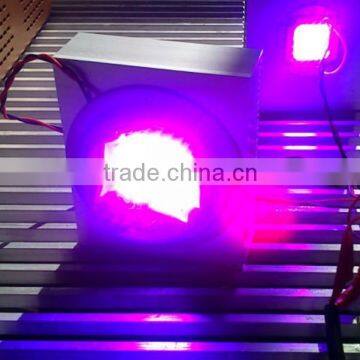 Aluminium Cob Led Light Heat Sink Cob Grow Light Kit 100w Cob Led Full Spectrum photo-3