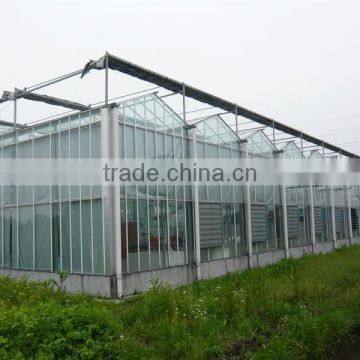 Large Multi-span Glass Green House Agriculture & Commercial Used Greenhouse,modern Greenhouse for Agriculture Farming and Grow photo-3
