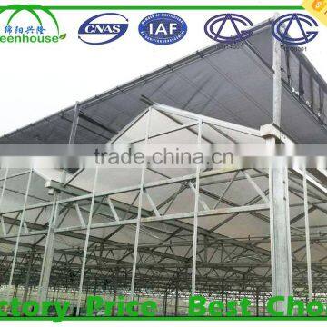 Vegetable Seeds Greenhouse photo-2