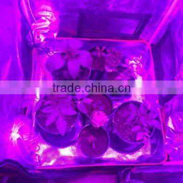 300W UFO Led Grow Light Full Spectrum Grow Lights Led Plant Lamps With UV/IR Led Bulbs for Indoor Garden photo-6