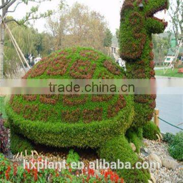 Small Sculpture Aritificial Green Sculpture Plastic Fake Plant Artificial Sculpture Artificial Plastic Statue