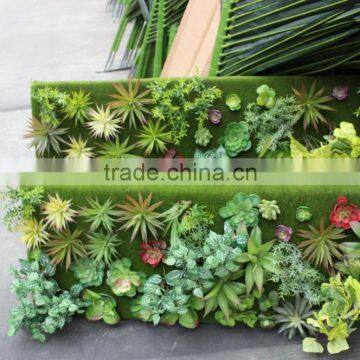 succulent plants green wall interior decoration for sale