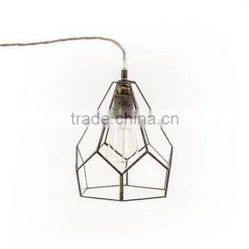 Edison Bulb Clear Simple Lamp Glass Terrarium photo-4