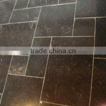 Black Limestone Polished Tile MCPB229