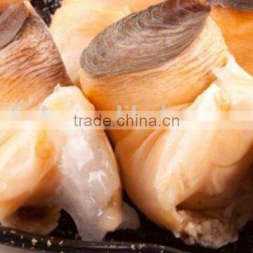 Conch Meat photo-4