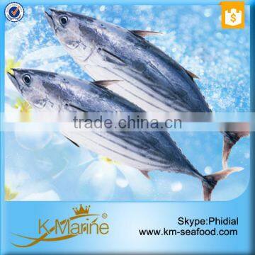 New Coming Wholesale Seafood Skipjack Tuna Fish