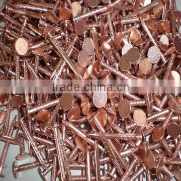 Stainless Steel Construction Nails photo-4