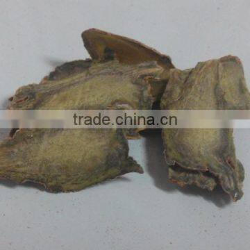 Top Quality Organic Panax Notoginseng Root/Powder photo-6