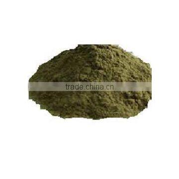 Gymnema Extract photo-3