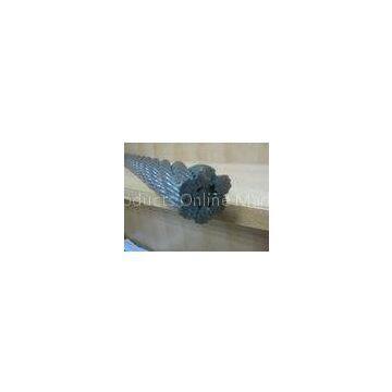 ASTM 316 Nylon Coated Stainless Steel Wire Rope 1x37 and Diameter 25mm