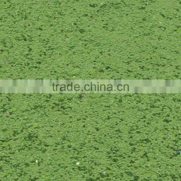 Fully Stock pu Guangdong Wholesale Glitter Fabric photo-3