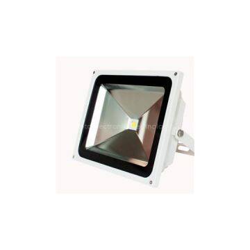 10W COB Floodlight