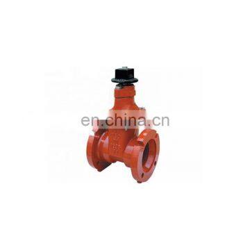 Swing check valve