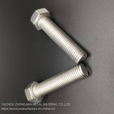Stainless Steel Hex Bolt M6*30