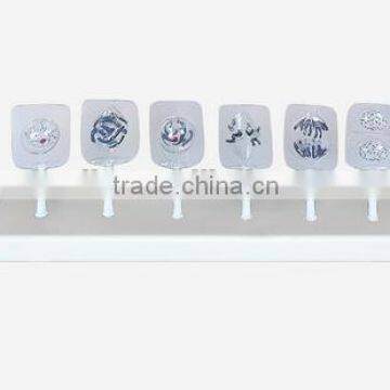 Animal Cell and Plant Cell Mitosis Model