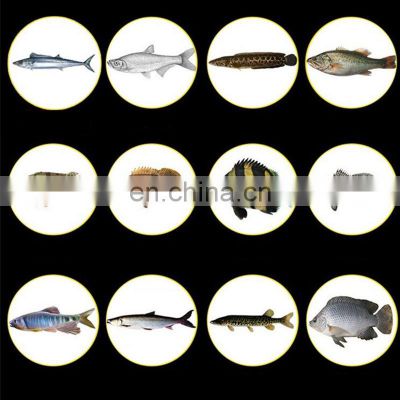 high quality new style  mackerel sabiki rig  with different sea fishing hooks size