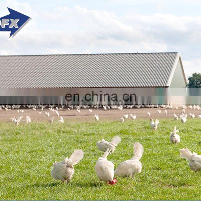 Prefab Low Price Chicken Farm Metal Building Construction Design Two Story Prefabricated Steel Structure Workshop Building