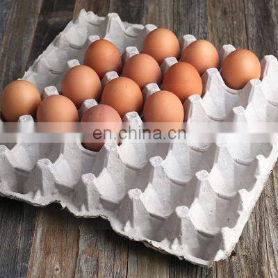 Biodegradable Molded Paper Waterproof Pulp Cardboard Egg Cartons Flats Egg Tray photo-4