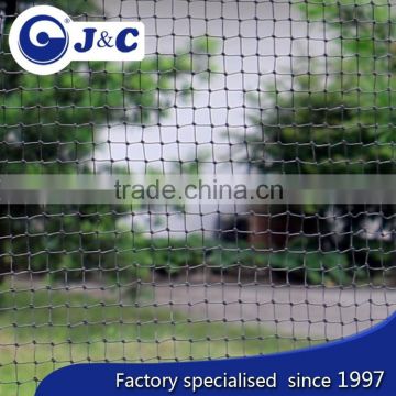 bespoke size anti hummingbirds protection netting use for hummingbirds , anti Bird protection net,PE agricultural bird netting