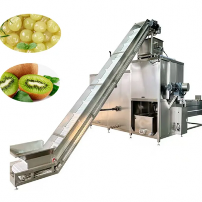 Automatic 2-3 Tons Per Hour Tomato Onion Steam Peeling Machine