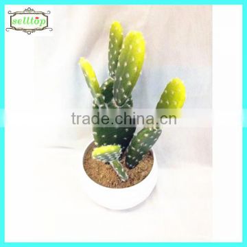 25cm high quality real touch san pedro cactus