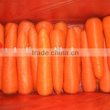 Chinese Natural Red Carrots