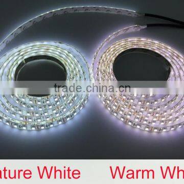 CE &RoHS DC12V/24V Waterproof 120leds SMD 3528 LED Strips Light White Smart Lighting