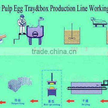 Good Price Waste Paper Egg Tray Making Machine for Sale photo-4