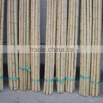 Bamboo pole Sun-019