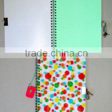 3D cover secret diary