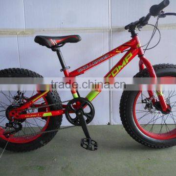 20 Inch Steel Fat Bike / Snow Bicycle