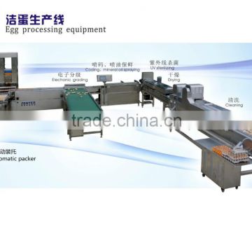 China Shenzhen stainless 10000pcs/h egg processing equipment for sale