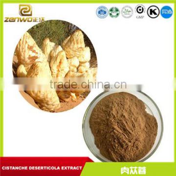 10:1 grade cistanche deserticola extract powder