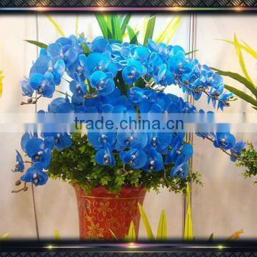 phalaenopsis orchid plant blue orchid artificial flower