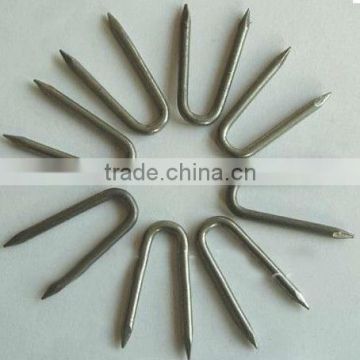 High Quality Galvanized u-type steel nail/ iron nail price