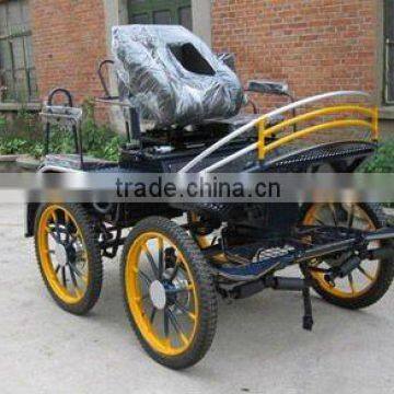 Competition Marathon Horse carriage