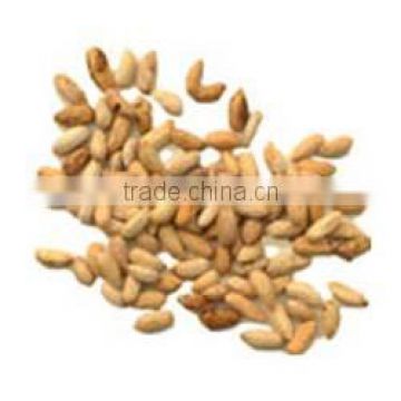 Neem Seeds