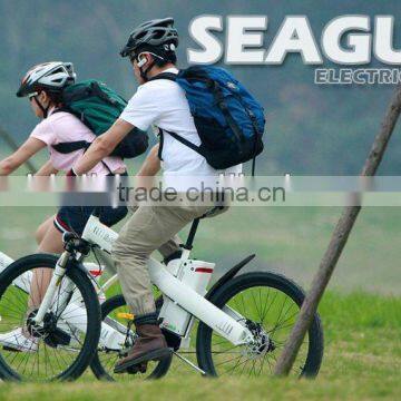 Speed 40km/h e-bikes, with lithium battery, powfu elelctric bicycle