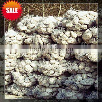 erosion control Gabion Bags for protection