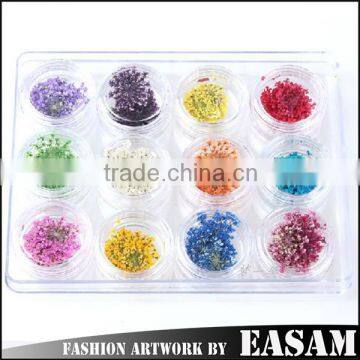 12 colors jar nail dry flower set,big nail art dry flower