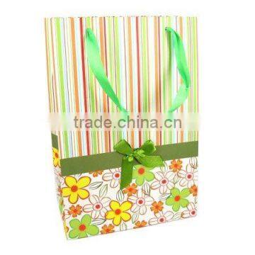 Paper Gift Bag