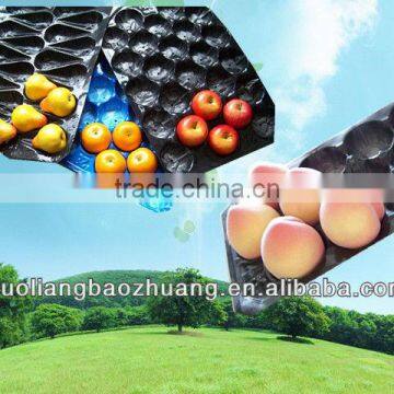 Customed FDA/SGS Testing PP/PVC Fruit And Produce Trays